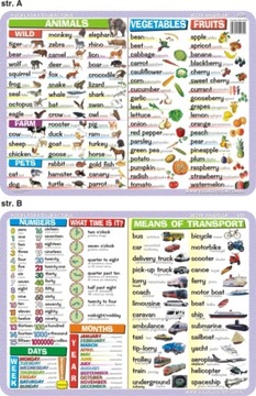 Учебный коврик. 063 - Физические и польские карты Европы.