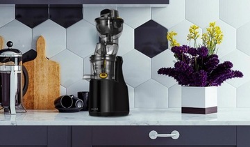 Соковыжималка медленного действия SAM COOK PSC-50/B