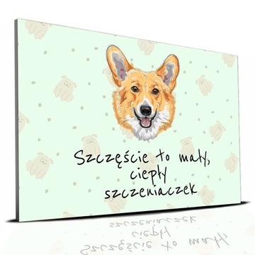 TABLICZKA ZIELONY 22X15CM CORGI SZCZĘŚCIE TO MAŁY CIEPŁY SZCZENIACZEK WZORY