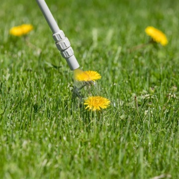 ROUNDUP FLEX GARDEN 1000 МЛ СРЕДСТВО ДЛЯ УДАЛЕНИЯ СОРНЯКОВ SUBSTRAL