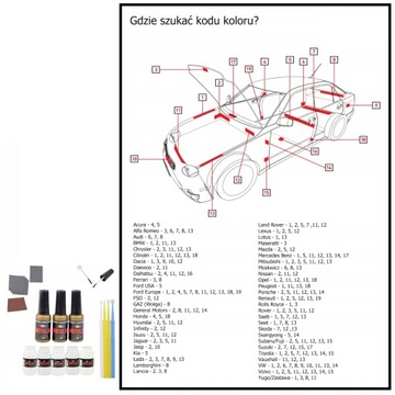 XXL комплект для подкраски Citroen C3