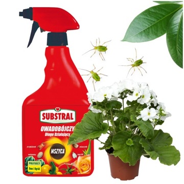 SUBSTRAL POLYSECT ŚRODEK OPRYSK MSZYCE PRZĘDZIORKI WEŁNOWCE MĄCZLIKI 750ML