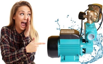 POMPA HYDROFOROWA WZI 250 IBO WZ 250 Z OSPRZĘTEM