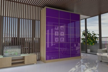 3D ШКАФ CASPIAN 200x250 - SONOMA - LACOBEL
