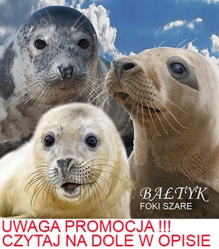 MAGNES NA LODÓWKĘ 3D FOKI BAŁTYK