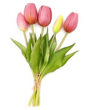 Искусственный ТЮЛЬПАН Силиконовый БУКЕТ ТЮЛЬПАНЫ 5 шт.