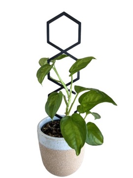 Опоры для цветов, растений, лестничная опора, пергола HEXAL M - 31см