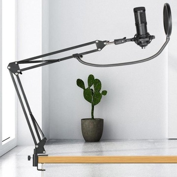 Конденсаторный микрофон для записи.