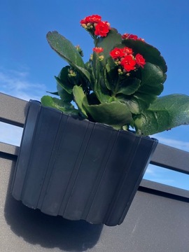 САДОВЫЙ ЦВЕТОЧНЫЙ ГОРШОК ЦВЕТОЧНАЯ КРУМЯ С БАЛЛЮСТРАДОЙ-ДЕРЖАТЕЛЕМ ПЕРИЛА диаметром 14см