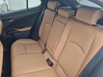 Lexus UX Crossover Facelifting 2.0 300h 199KM 2024 Lexus UX 300h F Sport Design 300h F Sport Design S, zdjęcie 14
