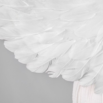 КОСТЮМ АНГЕЛА КРЫЛЬЯ НИБОЛ ПАЛОЧКА БЕЛОСЕНЬКА НИЧИ ПЕРЬЯ