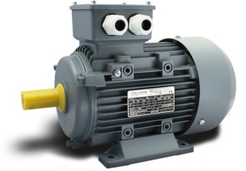Silnik 3-fazowy 4 kW 1400 łapowy B3