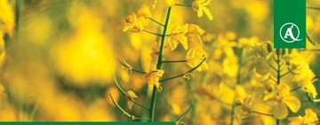 Agrosar 360 SL 5 L Gliposat Randap