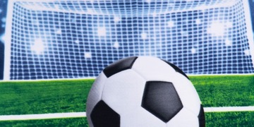 Флисовое одеяло для покрытия футбольного поля и мяча