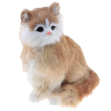 model modelu