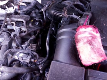 Вы отпугиваете сурков? упаковка, содержащая 6 шт. продукта