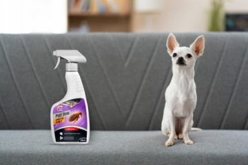 СПРЕЙ-АГЕНТ БЛОКИ БЛОКИ СПРЕЙ ПРОТИВ БЛОХ БЛОХ БЕЗ ВРЕДИТЕЛЕЙ 500МЛ