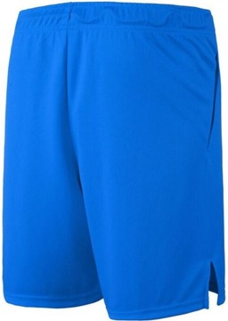 Spodenki sportowe męskie Nike Dri-FIT r. M