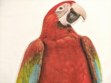 Наклейка на мебель SOFT Bird PARROT 36x67