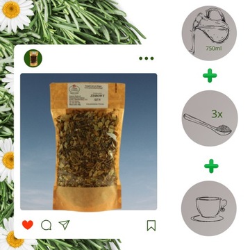 ТРАВЫ ЗДОРОВЫЙ СОН ПРОБЛЕМЫ ПРИ СОННОЙ БЕССОННИЦЕ СПОКОЙСТВИЕ НЕРВНОЙ СИСТЕМЫ