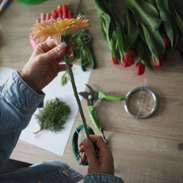 ПРОВОД САДОВЫЙ ДЛЯ РАСТЕНИЙ ПОКРЫТЫЙ ПВХ 50М