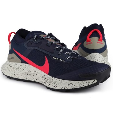 Buty męskie Nike PEGASUS TRAIL 3 GORE-TEX