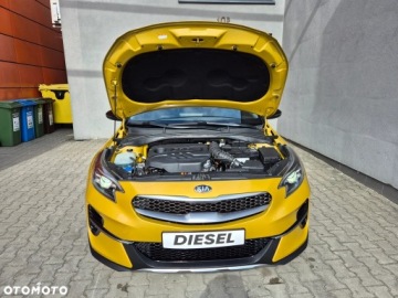 Kia XCeed Crossover 1.6 CRDi SCR 136KM 2020 Kia XCeed 1.6 CRDi Evolution, zdjęcie 34