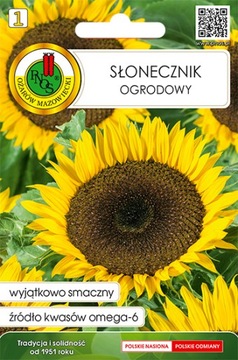 PNOS NASIONA SŁONECZNIK OGRODOWY 10G