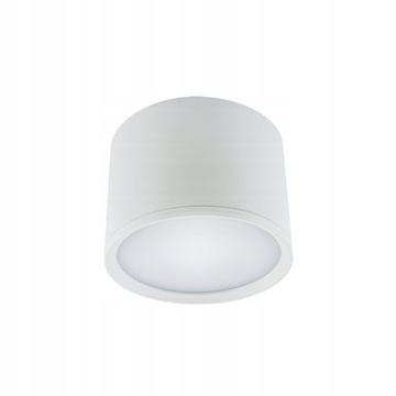 Oprawa sufitowa tuba LED biała IP20 7W 580lm 4100K, ROLEN 03108, STRUHM