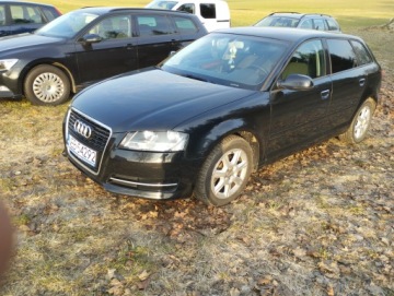 Audi A3 8P Hatchback 3d 1.6 TDI 105KM 2012 Audi A3 8P 1.6TDI 5 Drzwi,2012r.