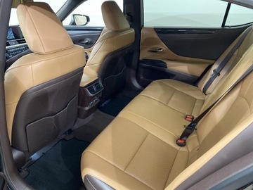 Lexus ES VII (XV70) Sedan 300h 218KM 2019 Lexus ES 300h Business Edition Lexus ES 300h Busin, zdjęcie 10