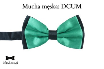 Szelki i mucha dla MATEMATYKA KOLOROWE CYFERKI 16