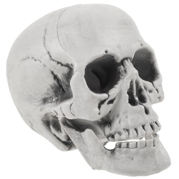 DEKORACJA CZASZKI NA HALLOWEEN DEKORACJA MISK
