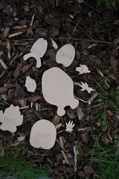 Следы животных 1:1