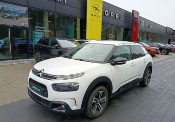 Citroen C4 Cactus Crossover Facelifting 1.5 BlueHDi 102KM 2021 Citroen C4 Cactus 1.5 BlueHDi Shine 1.5 Diesel 102KM