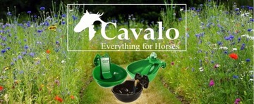 ЧУГУННАЯ ПОПОИЛКА ДЛЯ КРС, ЛОШАДЕЙ, СОБАК, 4Л