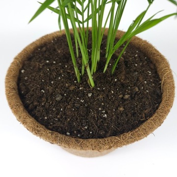 Грунт для субстрата ZAMIOKULKAS 5л