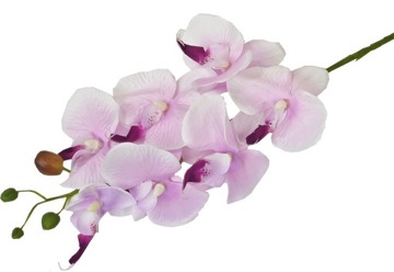 STORCZYK ORCHIDEA GAŁĄZKA 7 KWIATÓW 78cm