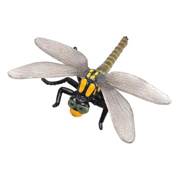 Миниатюрные когнитивные модели и мальчики