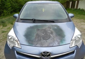 Toyota Verso-S 1.33 Dual VVT-i 99KM 2011 Toyota Verso S czyli YARIS z bagaznikiem. Niezawodny i praktyczny 1.3 99KM, zdjęcie 2