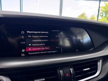 Alfa Romeo Stelvio SUV Facelifting 2.0 Turbo 280KM 2020 Alfa Romeo Stelvio Veloce Q4 / 1 właściciel / Salo, zdjęcie 31