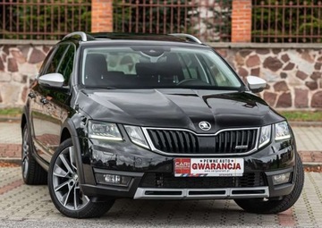 Skoda Octavia III Kombi Facelifting 2.0 TDI 184KM 2019 Skoda Octavia SCOUT 2.0Tdi 184Ps 4x4 Automat Ledy Navi Bixenon Alkantara E, zdjęcie 17
