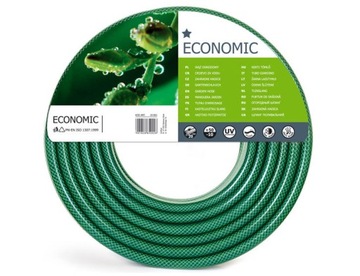 WĄŻ ECONOMIC 1