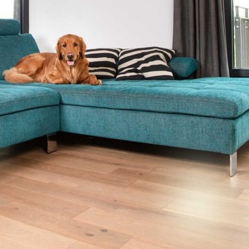 Щетка-насадка Vileda Pet Pro Always Clean для шерсти и волос