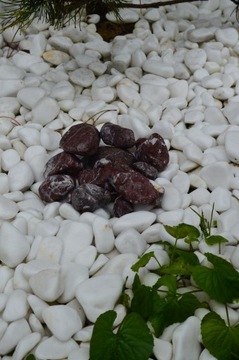 КРАСНАЯ ДЕКОРАТИВНАЯ ГАЛЬКА 25 кг ДЕКОРАТИВНЫЕ камни 1-2 см для сада