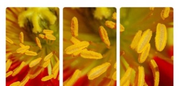 Цифровой мобильный микроскоп 800x + LCD 2'' Фильмы HD 720p Фотографии APEXEL MS008