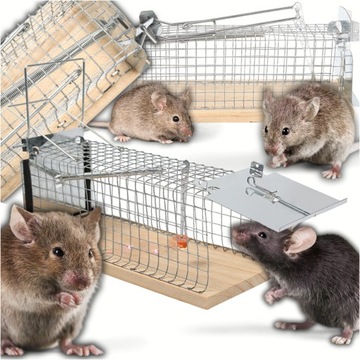 НАДЕЖНАЯ ГУМАНИТАРНАЯ МЫШОЛОВКА ДЛЯ КРЫС