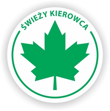 2x ZIELONY LISTEK Młodego Kierowcy