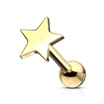 DO UCHA CHRZĄSTKI TRAGUSA GWIAZDKA 6MM