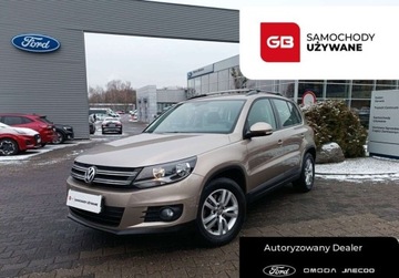Volkswagen Tiguan I SUV Facelifting 1.4 TSI BlueMotion 122KM 2014 Volkswagen Tiguan 1.4 TSI 122KM TrendFun SalonPL SerwisASO Iwl. Gwarancja